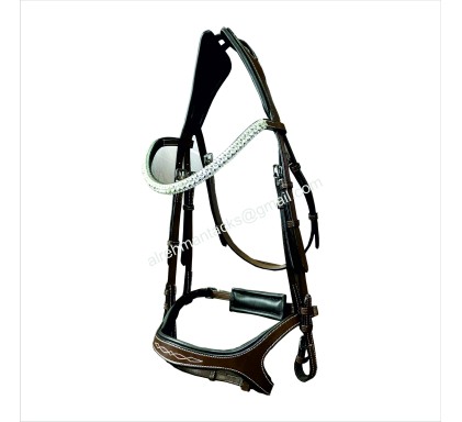 Leather Bridle 